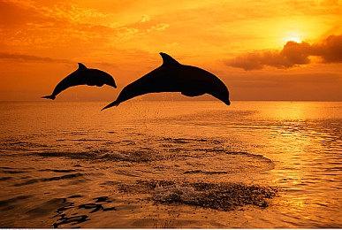 《美少女梦工厂2 韶华再续》多平台发售 经典名作新篇